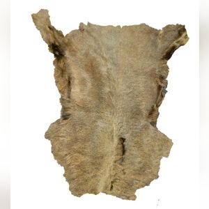 Sheared Tuscan Lamb Moss